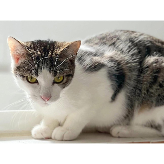 Photo of 12167   Laurence 