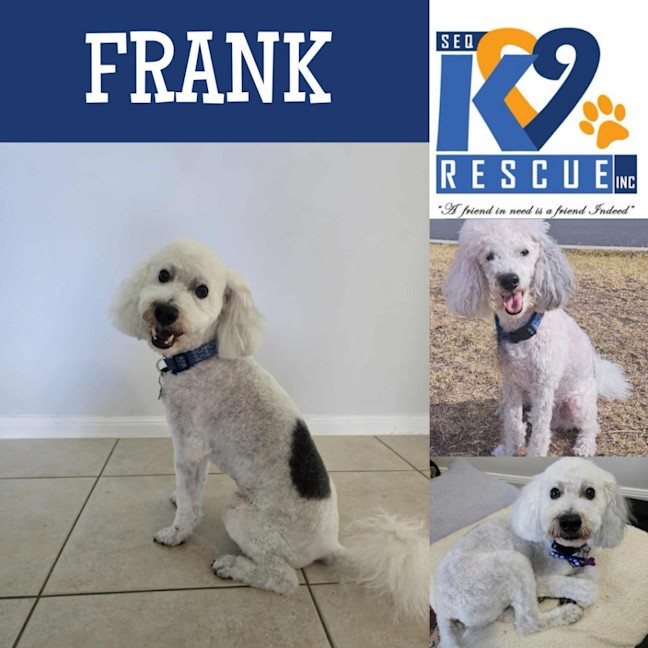Photo of Frank