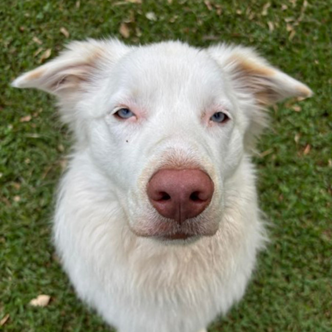 Photo of Aspen