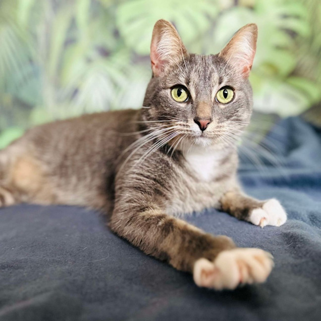 Photo of Greg   Located In Preston