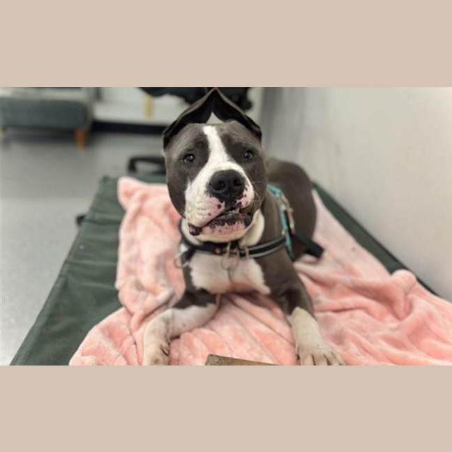 Photo of Roo