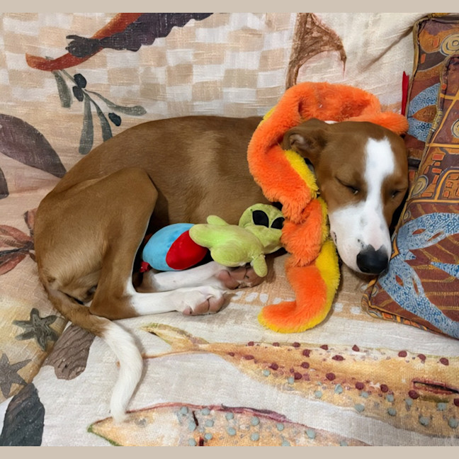 Photo of Marmie