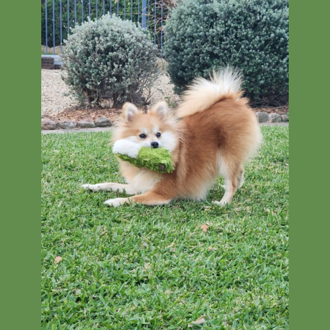 Photo of Beatrice Now Spice