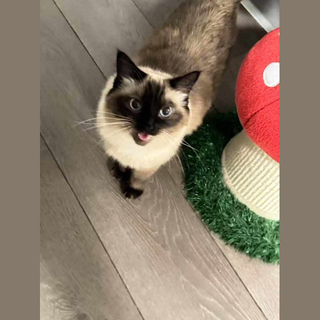 Photo of Nini & Ekko