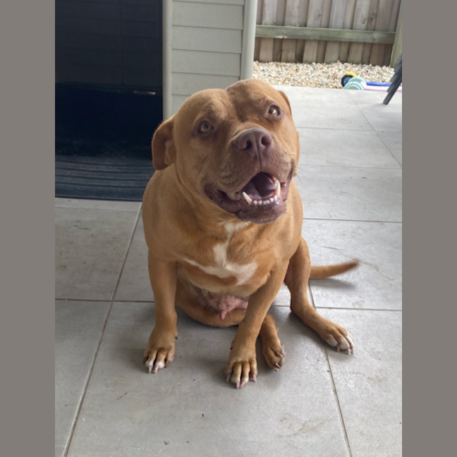 Photo of Nelly