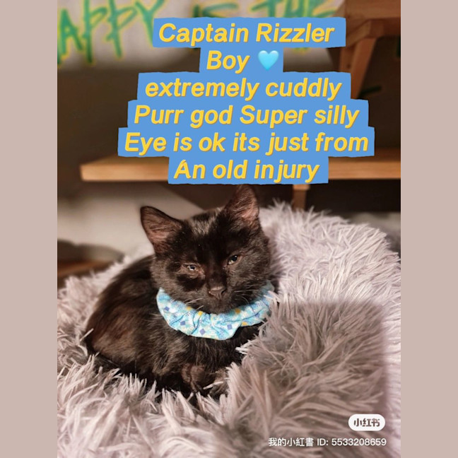 Photo of Captain Rizzler