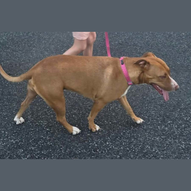 Photo of Meg