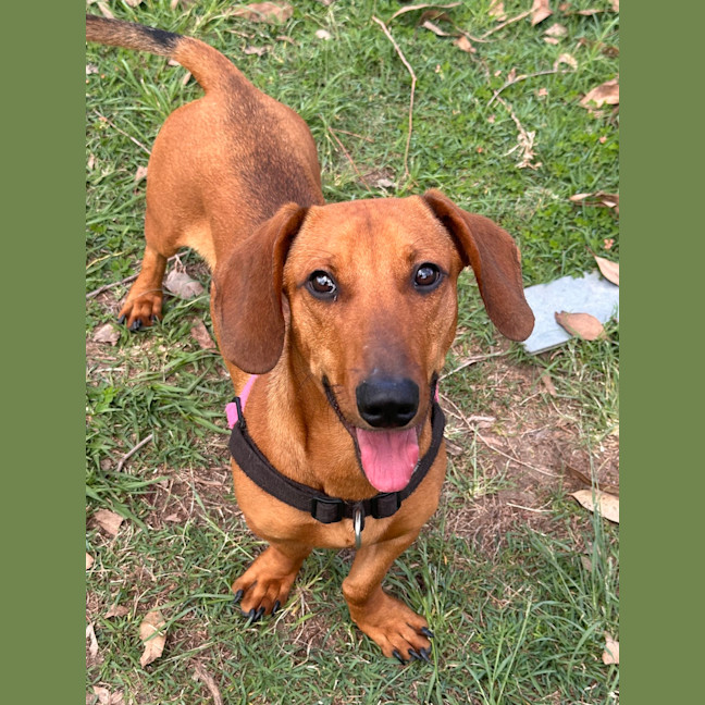 Photo of Charlie