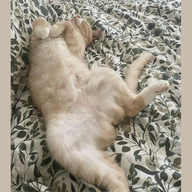 Photo of Millie