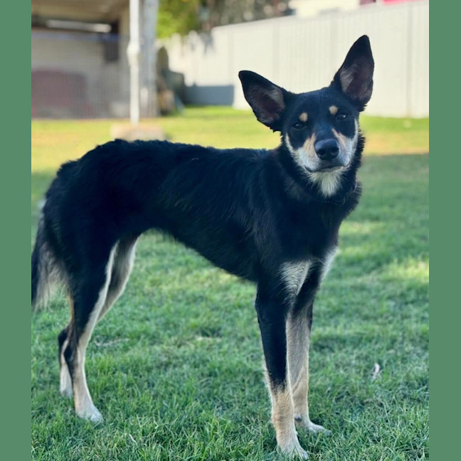 Photo of Matilda 