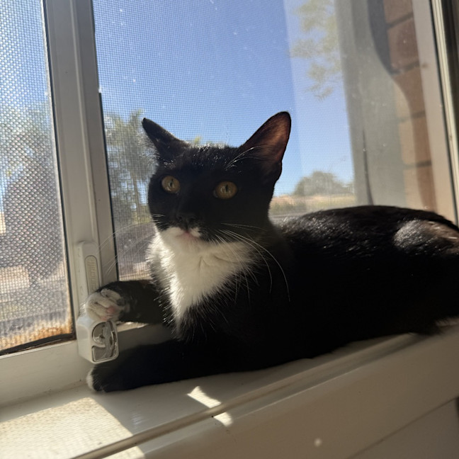 Photo of Aurora