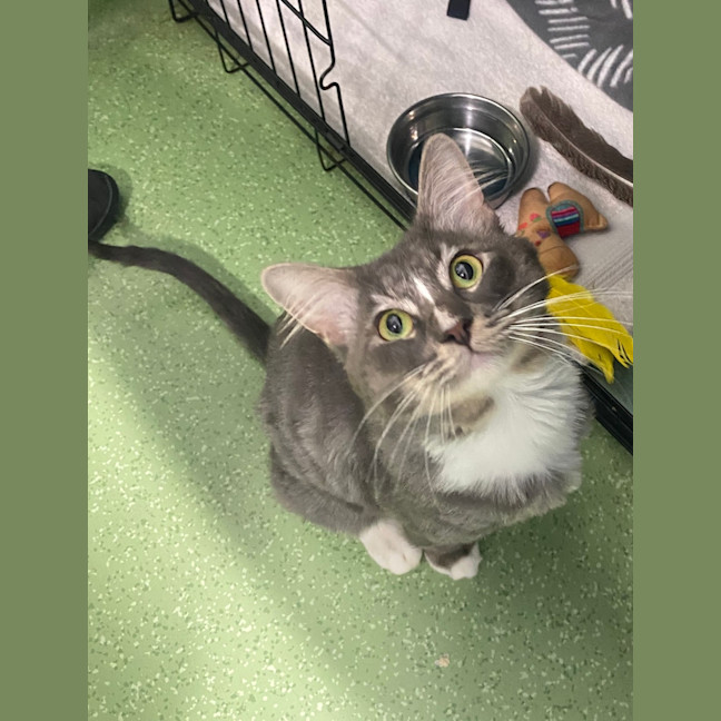 Photo of Mishu