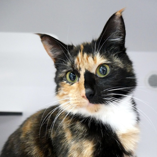 Photo of Princess Sta014141