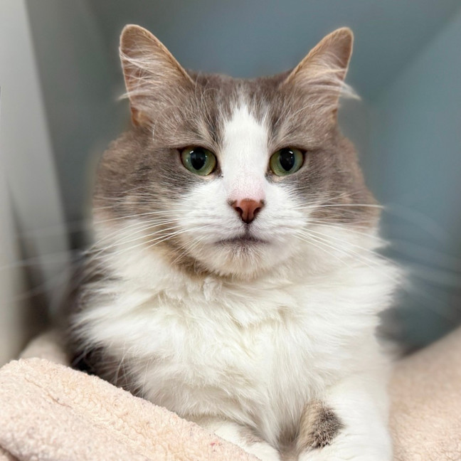 Photo of Minnie Vanilli