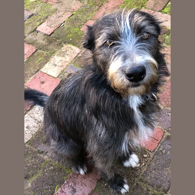 Photo of Winnie