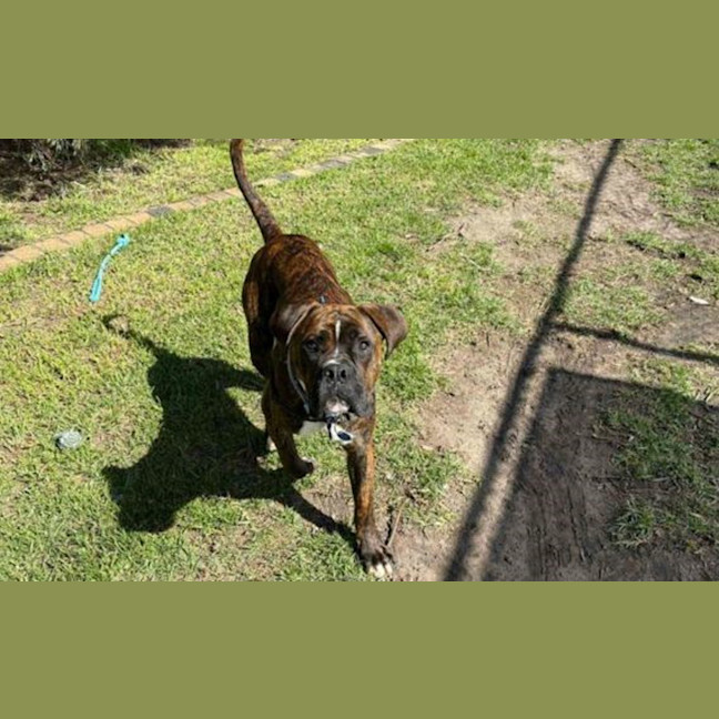 Photo of Jax