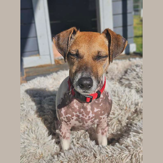 Photo of Bubba