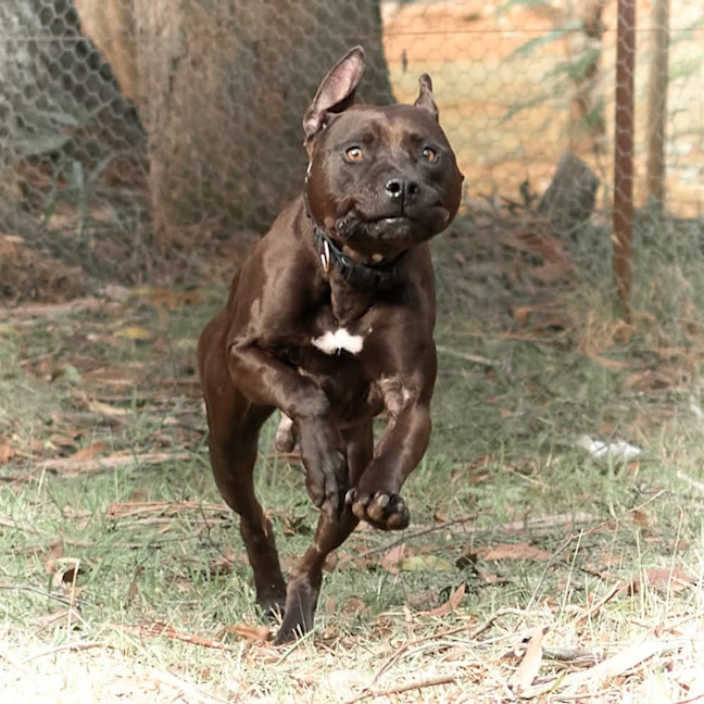 Photo of Azzie