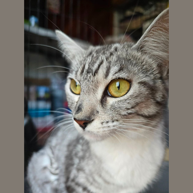 Photo of Talia