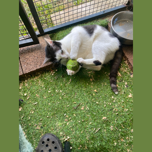 Photo of Neo