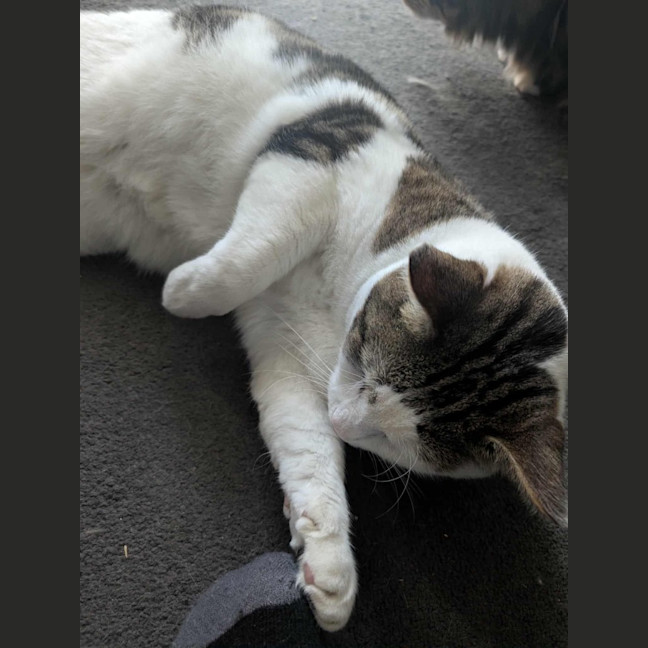 Photo of Pat