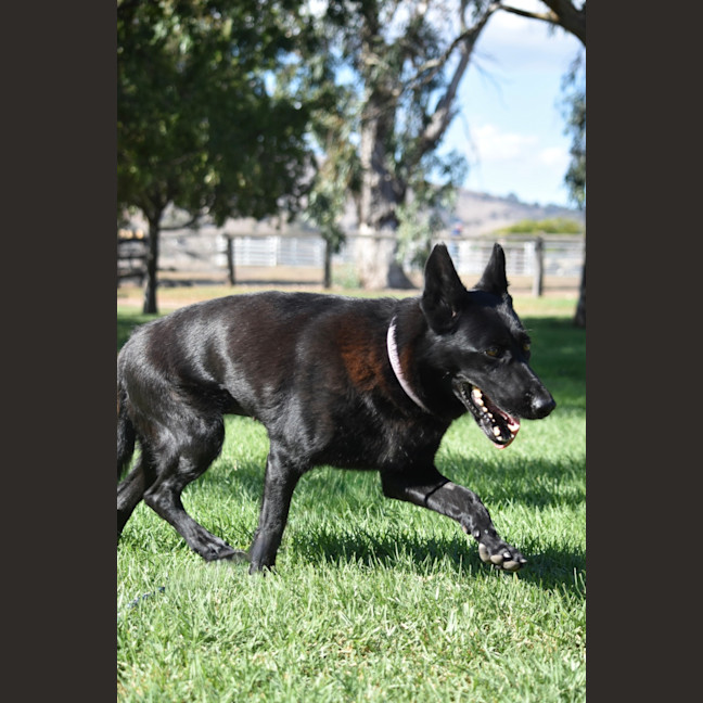 Photo of Storm
