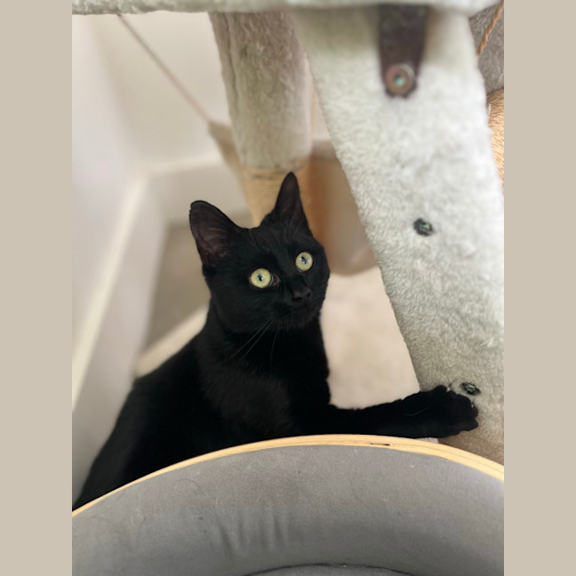 Photo of Kiwi