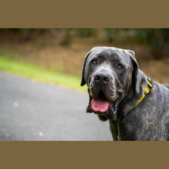 Photo of Zeus