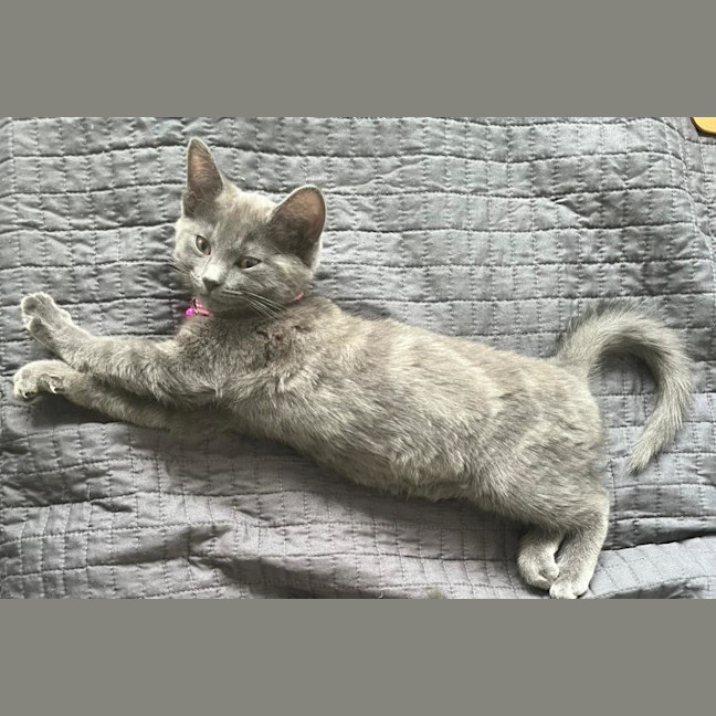 Photo of Lala