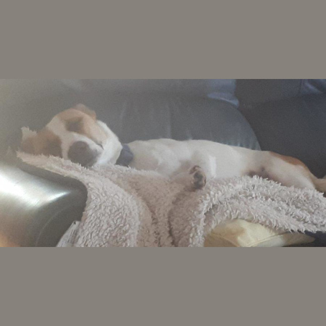 Photo of Jackson Moriarty