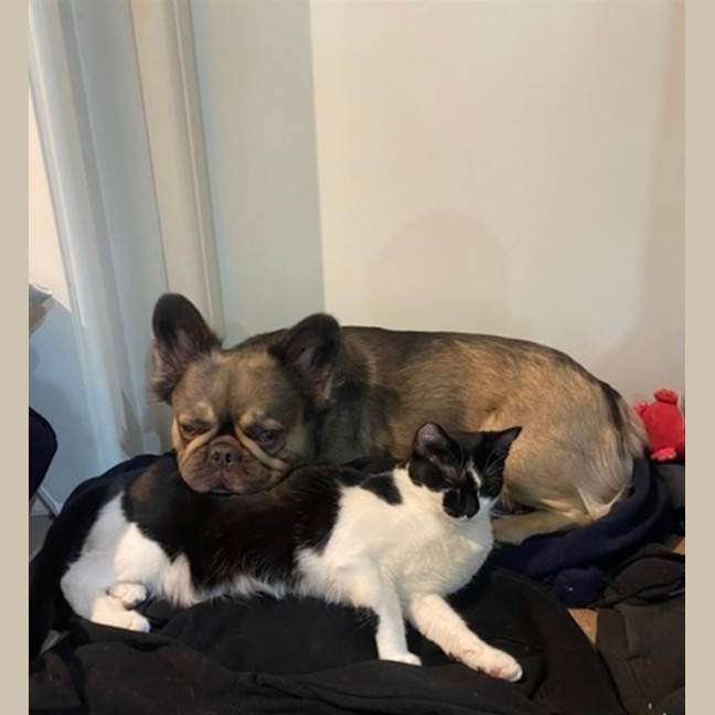 Photo of Alice & Anika