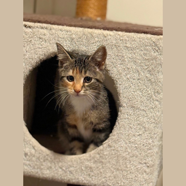 Photo of Cleo