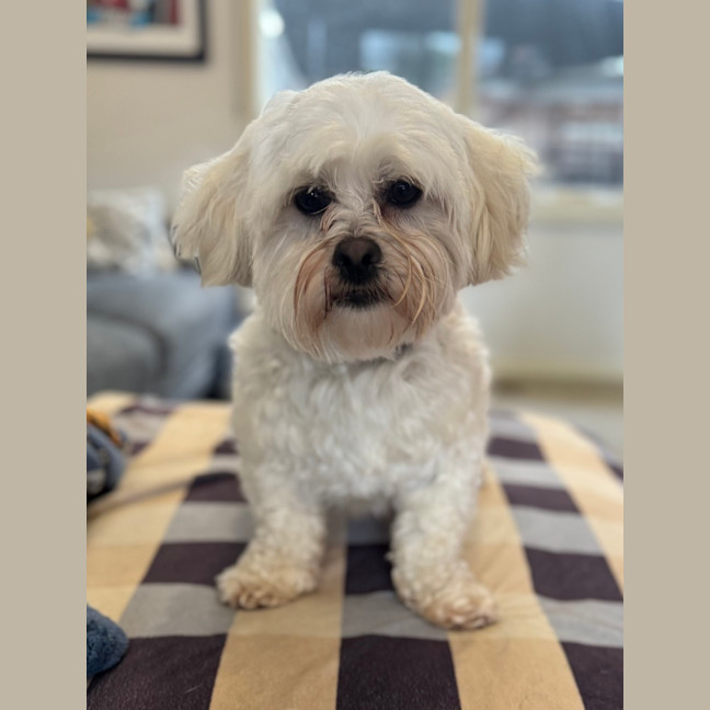 Photo of Thelma