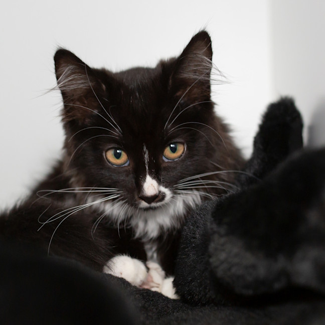 Photo of Berry