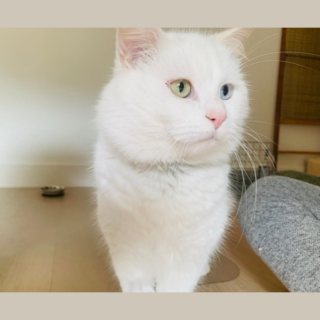 Photo of Liyana And Luci