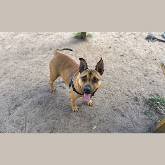 Photo of Mahana