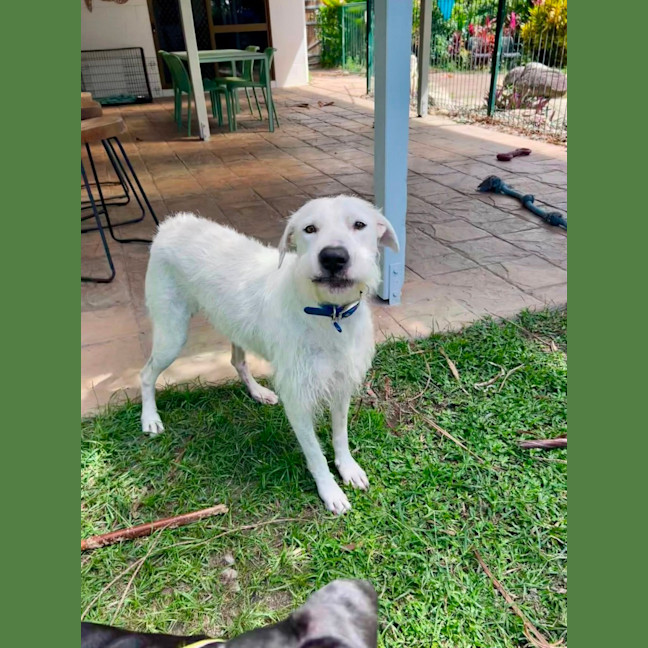 Photo of Betty 