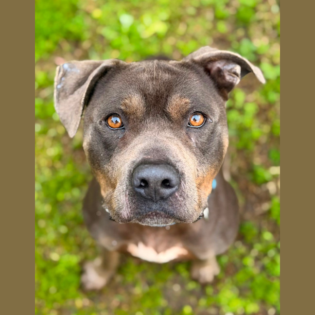 Photo of Bud