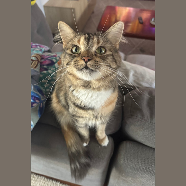 Photo of Samara Mae 