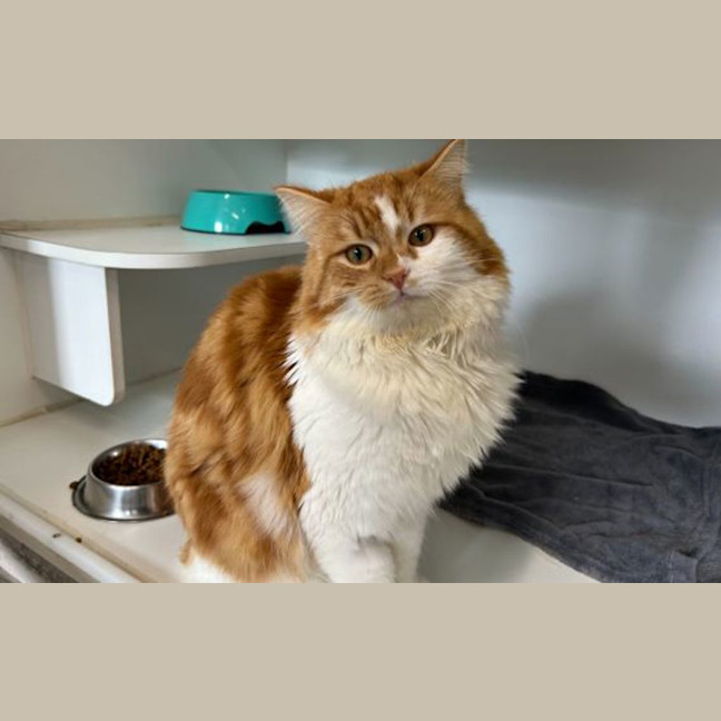 Photo of Cinnabon