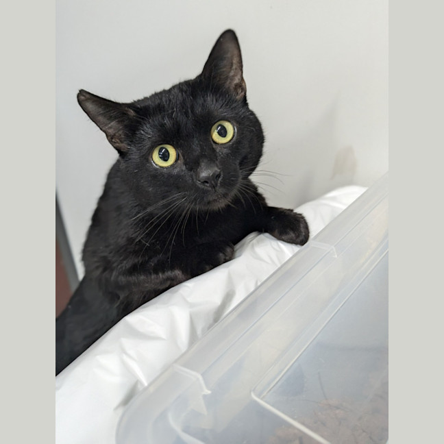 Photo of 🎐 Leroy 5499 🎐