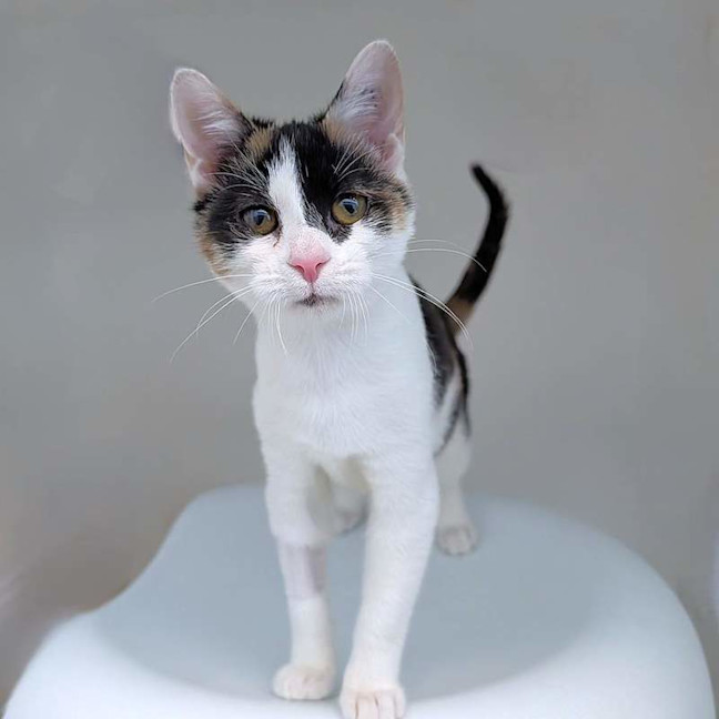 Photo of Milly