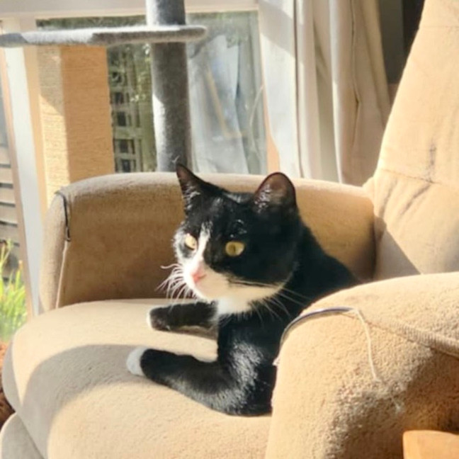 Photo of Edith   Located In Warrandyte