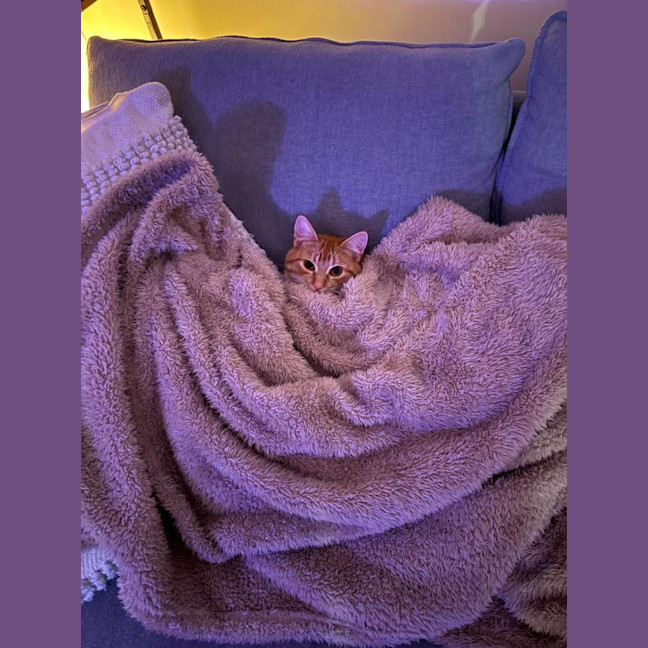 Photo of George