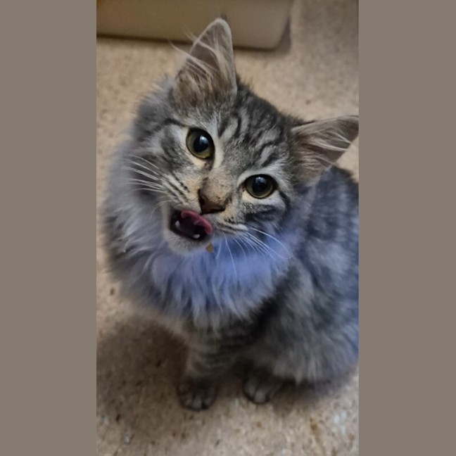 Photo of Titus