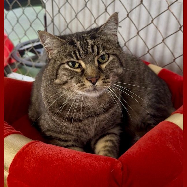 Photo of Jasper