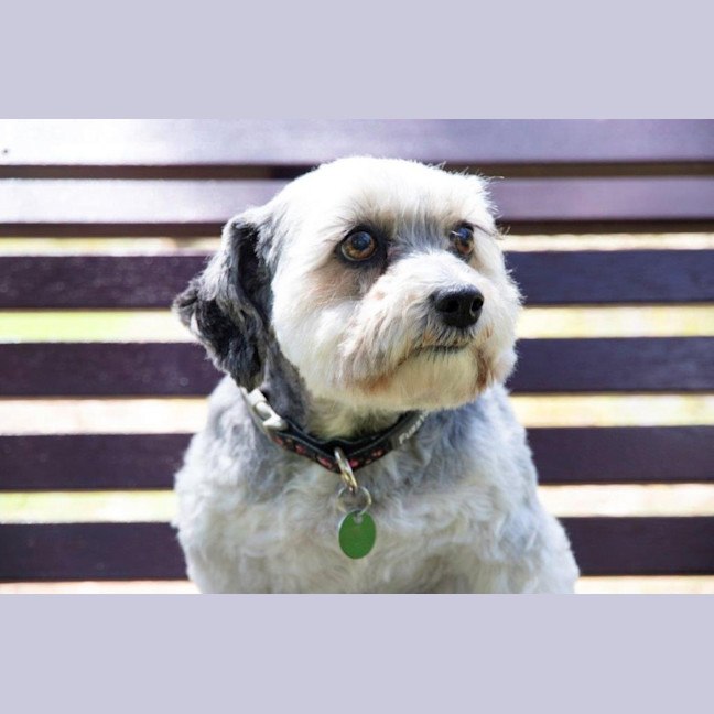 Photo of Lulu Lozano