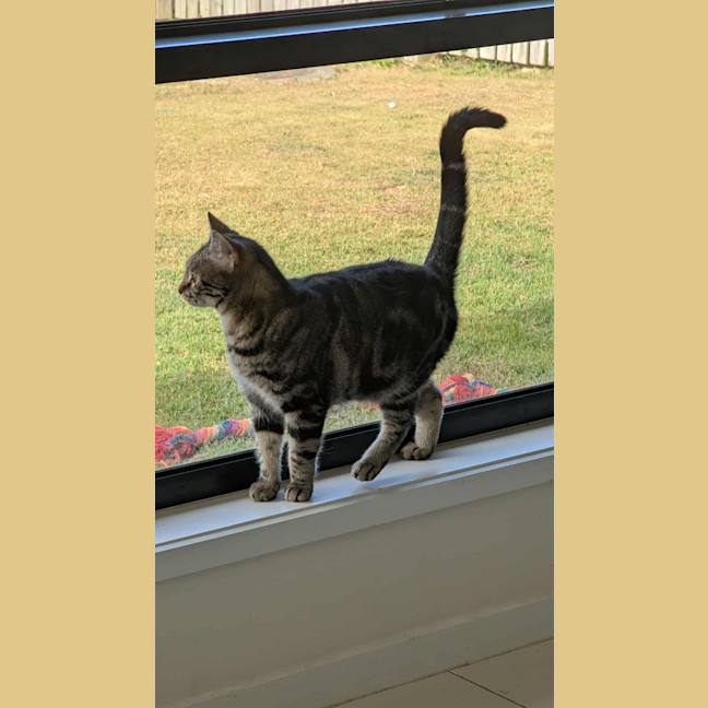 Photo of Susie