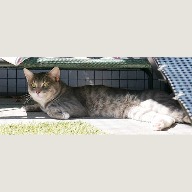 Photo of Bill Sta013662