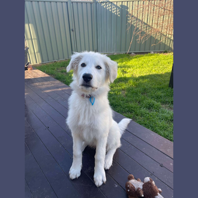 Photo of Mabel